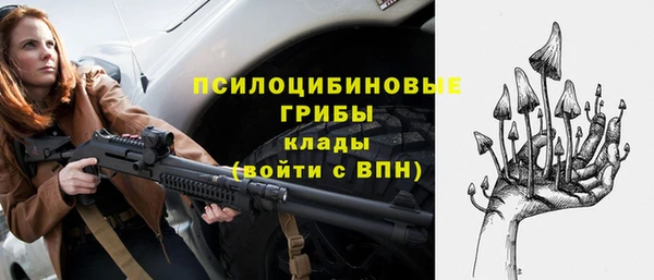 дмт Майский