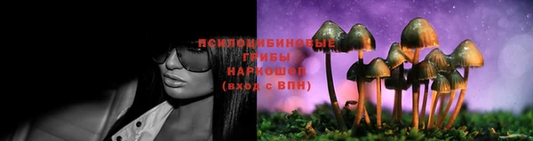 дмт Майский