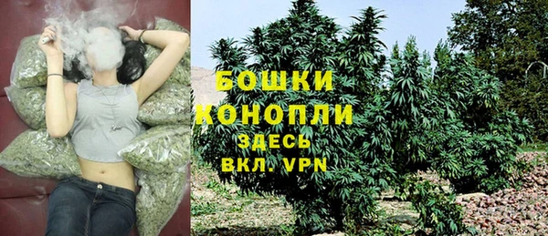 дмт Майский