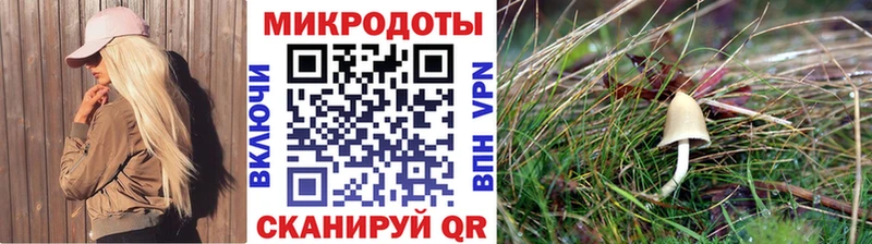 Псилоцибиновые грибы мицелий  купить   blacksprut рабочий сайт  Шахунья 