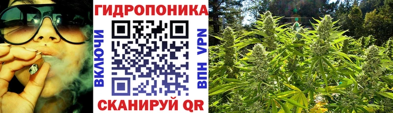 shop телеграм  Шахунья  МАРИХУАНА SATIVA & INDICA 
